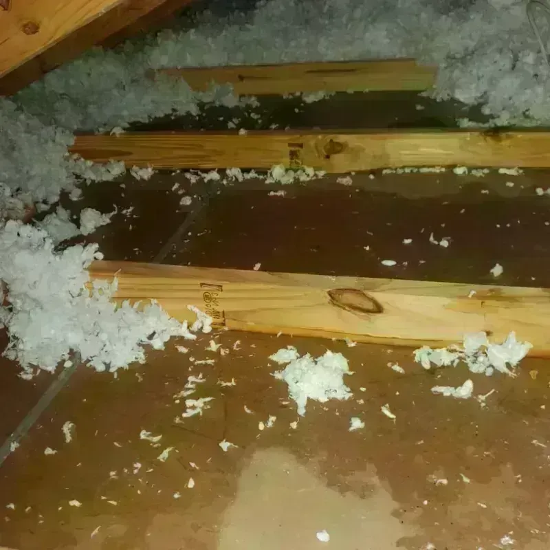 Attic Water Damage in Mansfield, TX