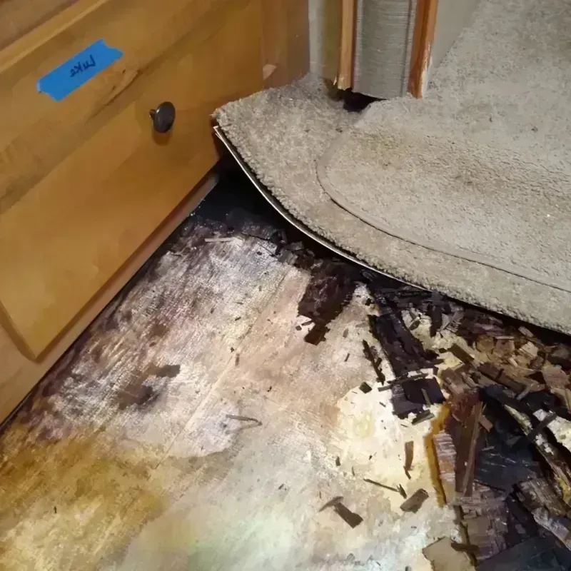 Best Wood Floor Water Damage Service in Mansfield, TX